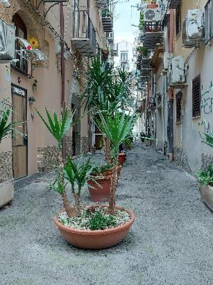 La Rosa Dei Venti " Ponente" Leilighet Palermo Eksteriør bilde
